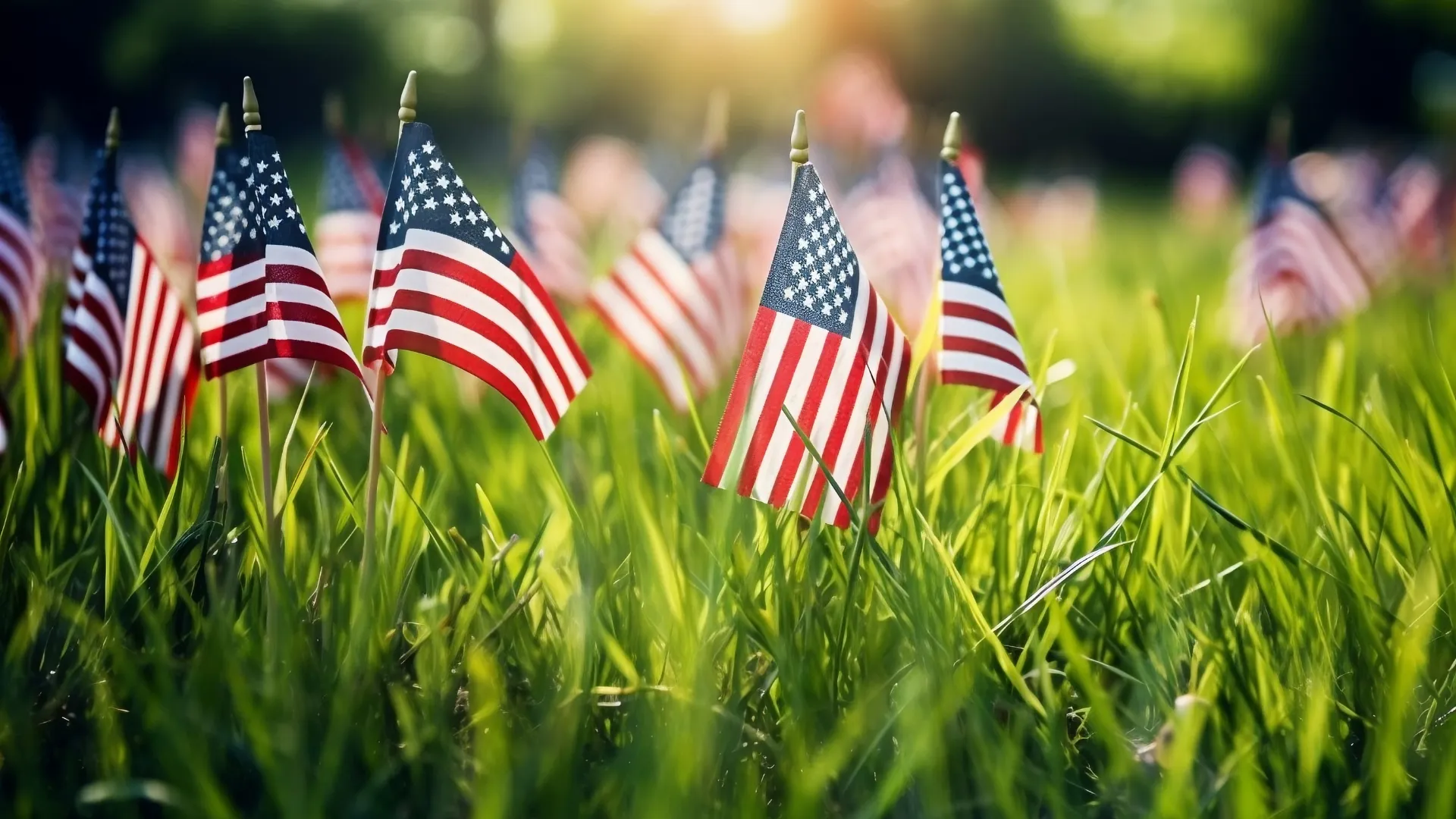 MR. HENDERSON VA PROJECT