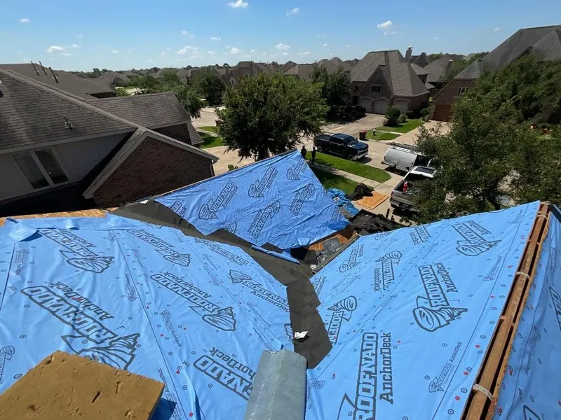 RHINO_PROJECT_CHERLY+STAVINS_PROCESS_1-90878b5b-800w