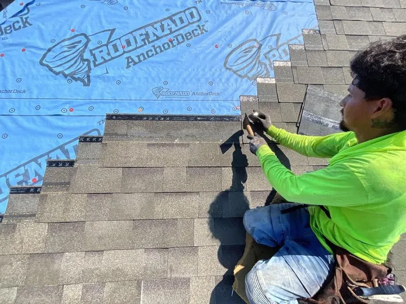 RHINO_PROJECT_CHERLY+STAVINS_PROCESS_3-800w